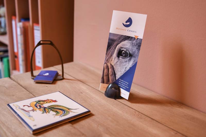 vue du bureau moizard conseil