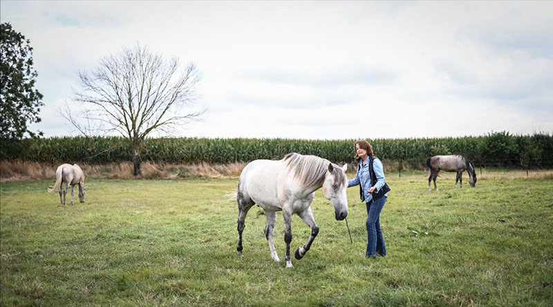 pré equicoaching chevaux